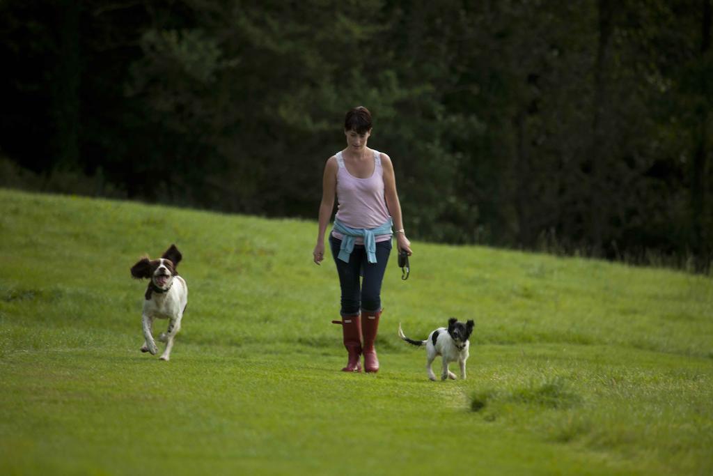 Wooda Farm Holidays Bude Zewnętrze zdjęcie