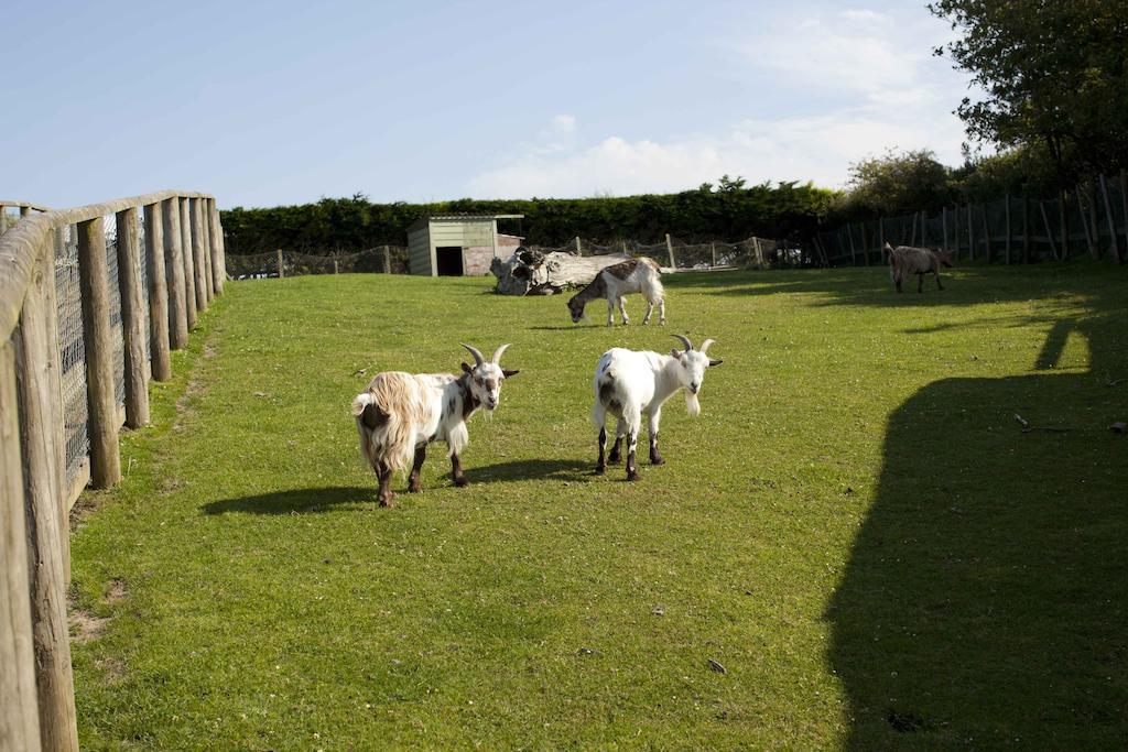 Wooda Farm Holidays Bude Zewnętrze zdjęcie